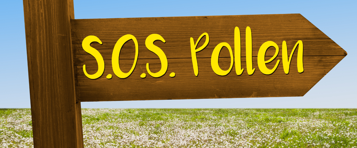 Stop au pollen dans la maison